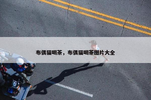 布偶猫喝茶,布偶猫喝茶图片大全 布偶猫喝茶,布偶猫喝茶图片大全