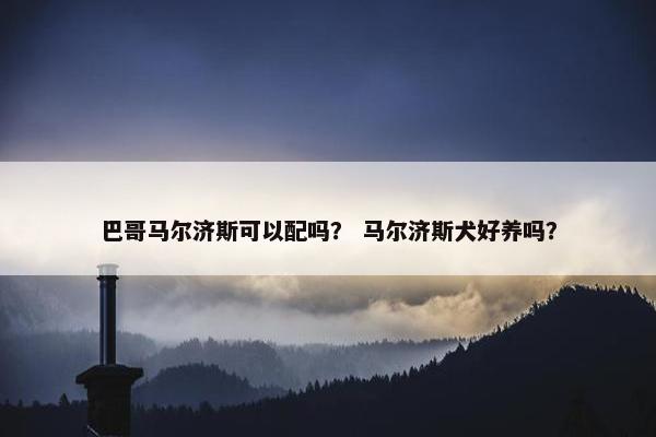 巴哥马尔济斯可以配吗? 马尔济斯犬好养吗? 巴哥马尔济斯可以配吗? 马尔济斯犬好养吗?