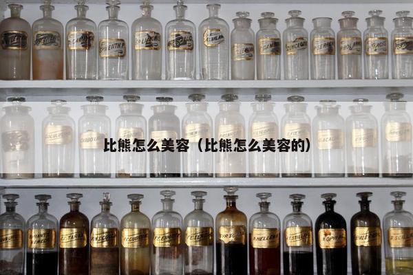 比熊怎么美容(比熊怎么美容的) 比熊怎么美容(比熊怎么美容的)
