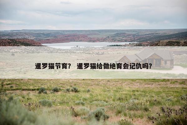 暹罗猫节育? 暹罗猫给做绝育会记仇吗? 暹罗猫节育? 暹罗猫给做绝育会记仇吗?