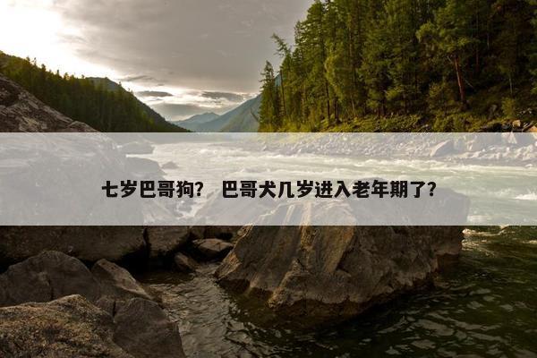 七岁巴哥狗? 巴哥犬几岁进入老年期了? 七岁巴哥狗? 巴哥犬几岁进入老年期了?