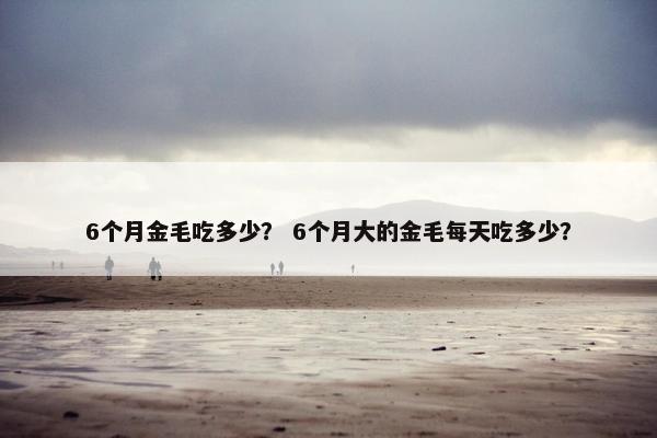 6个月金毛吃多少? 6个月大的金毛每天吃多少? 6个月金毛吃多少? 6个月大的金毛每天吃多少?