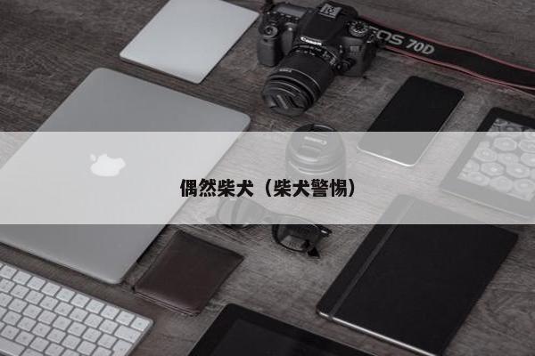 偶然柴犬(柴犬警惕) 偶然柴犬(柴犬警惕)