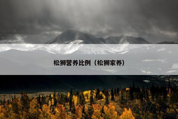 松狮营养比例(松狮家养) 松狮营养比例(松狮家养)