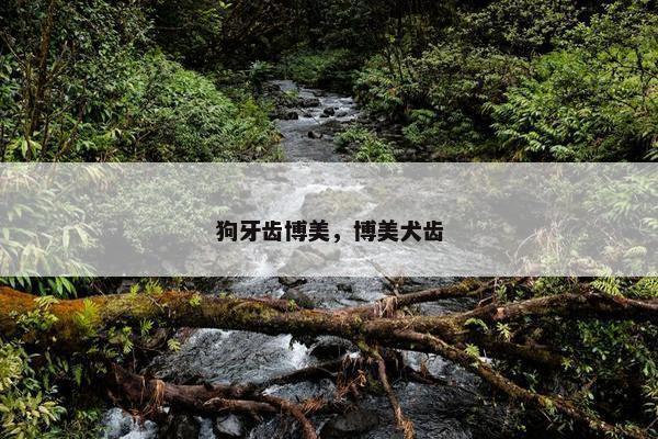 狗牙齿博美,博美犬齿 狗牙齿博美,博美犬齿
