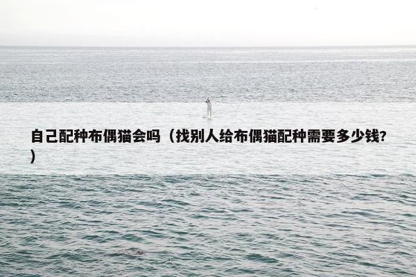 自己配种布偶猫会吗(找别人给布偶猫配种需要多少钱?) 自己配种布偶猫会吗(找别人给布偶猫配种需要多少钱?)