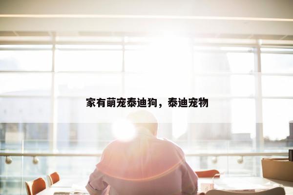 家有萌宠泰迪狗,泰迪宠物 家有萌宠泰迪狗,泰迪宠物