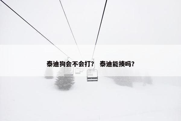 泰迪狗会不会打? 泰迪能揍吗? 泰迪狗会不会打? 泰迪能揍吗?
