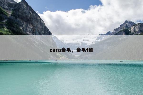 zara金毛,金毛t恤 zara金毛,金毛t恤