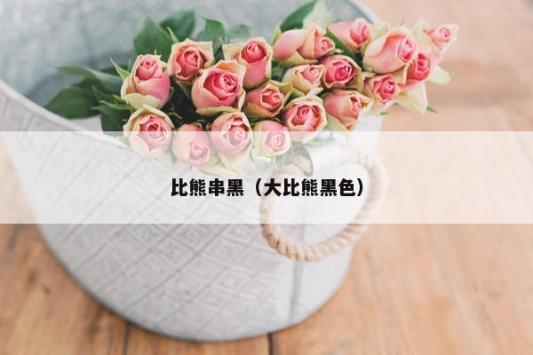 比熊串黑（大比熊黑色）