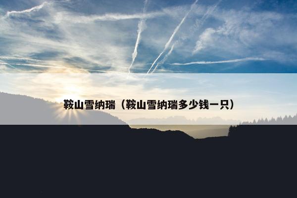 鞍山雪纳瑞(鞍山雪纳瑞多少钱一只) 鞍山雪纳瑞(鞍山雪纳瑞多少钱一只)