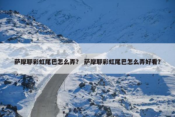 萨摩耶彩虹尾巴怎么弄? 萨摩耶彩虹尾巴怎么弄好看? 萨摩耶彩虹尾巴怎么弄? 萨摩耶彩虹尾巴怎么弄好看?