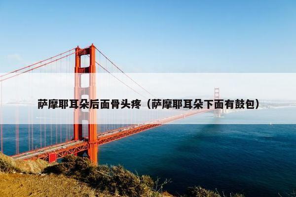 萨摩耶耳朵后面骨头疼(萨摩耶耳朵下面有鼓包) 萨摩耶耳朵后面骨头疼(萨摩耶耳朵下面有鼓包)