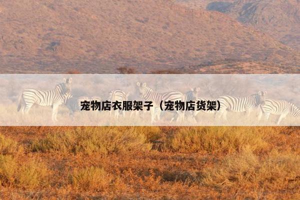 宠物店衣服架子(宠物店货架) 宠物店衣服架子(宠物店货架)