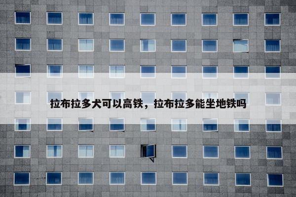 拉布拉多犬可以高铁,拉布拉多能坐地铁吗 拉布拉多犬可以高铁,拉布拉多能坐地铁吗