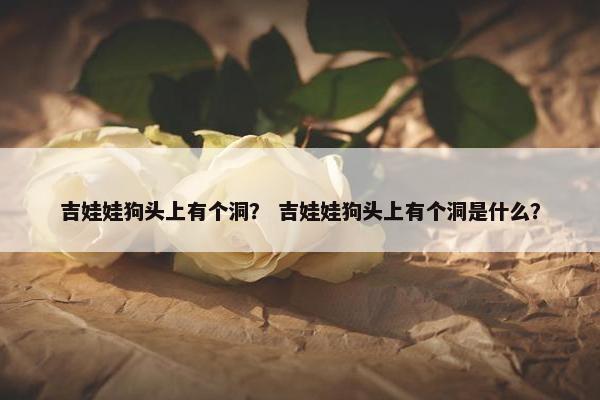 吉娃娃狗头上有个洞? 吉娃娃狗头上有个洞是什么? 吉娃娃狗头上有个洞? 吉娃娃狗头上有个洞是什么?