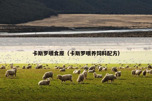卡斯罗喂食原(卡斯罗喂养饲料配方) 卡斯罗喂食原(卡斯罗喂养饲料配方)