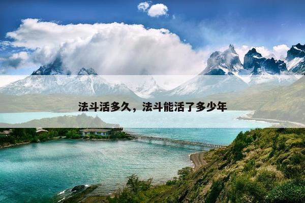 法斗活多久,法斗能活了多少年 法斗活多久,法斗能活了多少年