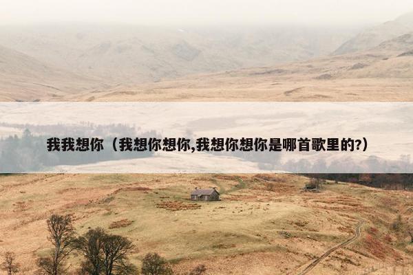 我我想你(我想你想你,我想你想你是哪首歌里的?) 我我想你(我想你想你,我想你想你是哪首歌里的?)
