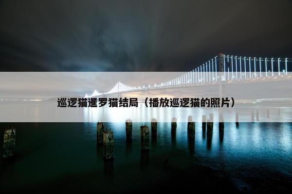 巡逻猫暹罗猫结局（播放巡逻猫的照片）