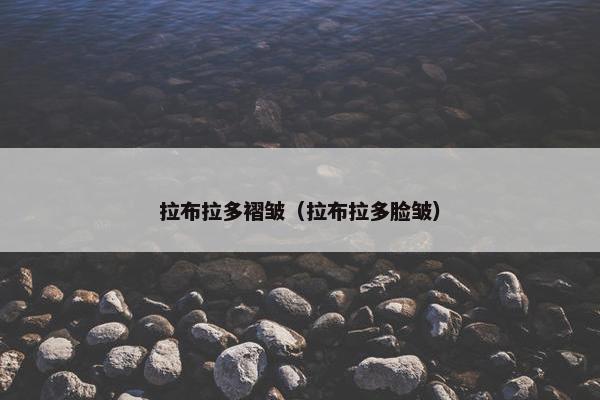 拉布拉多褶皱（拉布拉多脸皱）