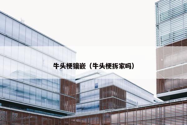 牛头梗镶嵌（牛头梗拆家吗）