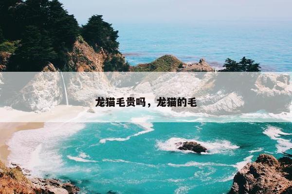 龙猫毛贵吗，龙猫的毛