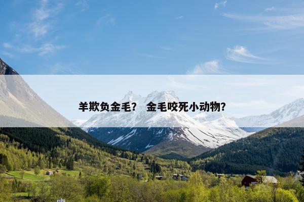 羊欺负金毛？ 金毛咬死小动物？