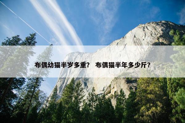布偶幼猫半岁多重？ 布偶猫半年多少斤？