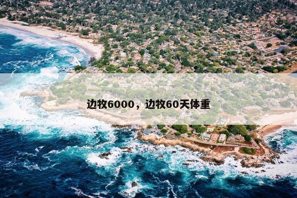 边牧6000,边牧60天体重 边牧6000,边牧60天体重