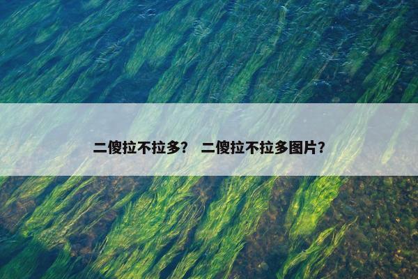 二傻拉不拉多? 二傻拉不拉多图片? 二傻拉不拉多? 二傻拉不拉多图片?