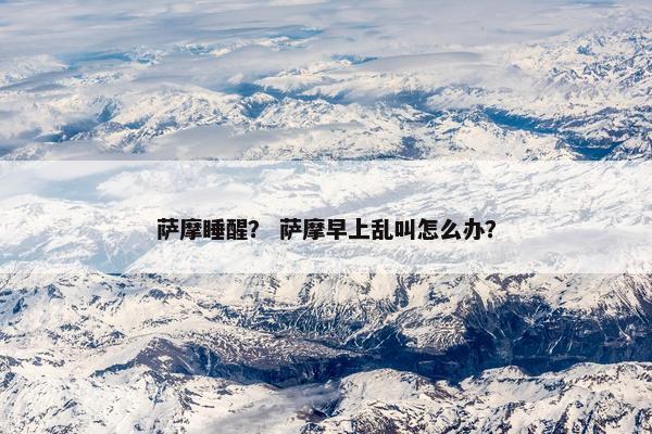 萨摩睡醒？ 萨摩早上乱叫怎么办？