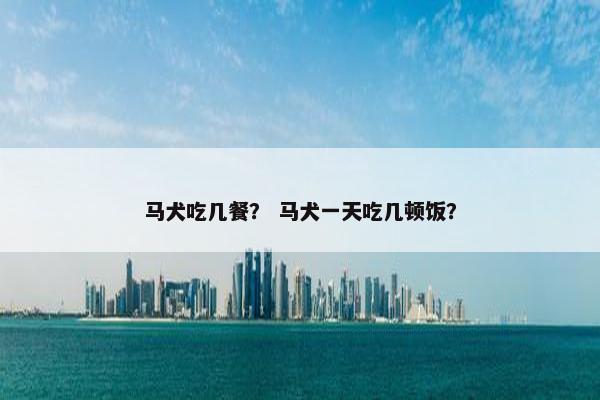 马犬吃几餐？ 马犬一天吃几顿饭？