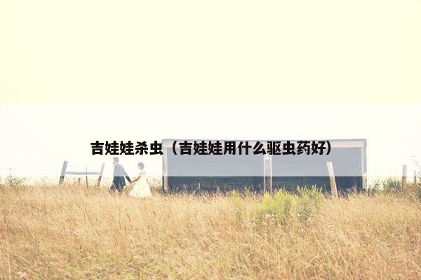 吉娃娃杀虫（吉娃娃用什么驱虫药好）