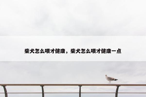 柴犬怎么喂才健康，柴犬怎么喂才健康一点