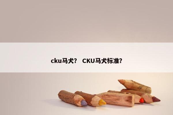 cku马犬？ CKU马犬标准？