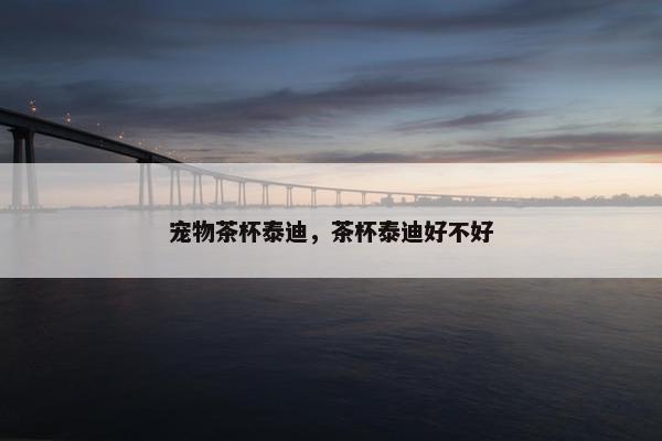 宠物茶杯泰迪，茶杯泰迪好不好