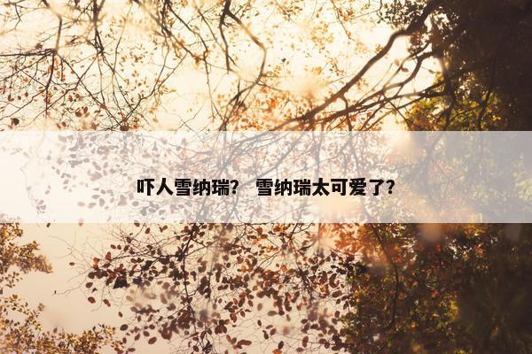 吓人雪纳瑞？ 雪纳瑞太可爱了？