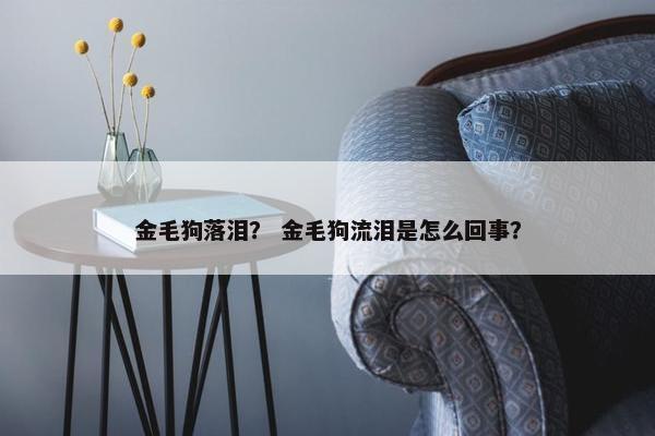 金毛狗落泪？ 金毛狗流泪是怎么回事？