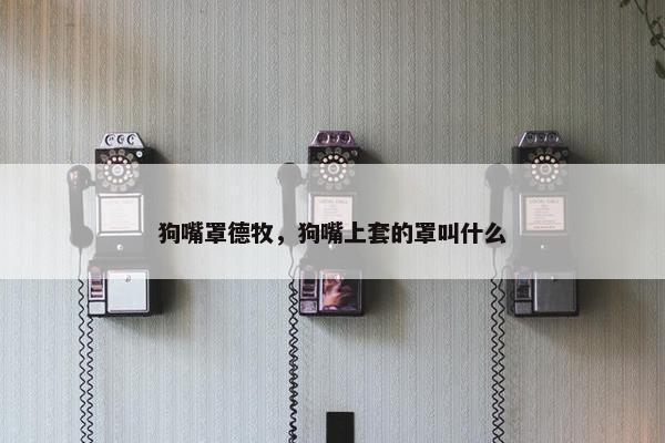 狗嘴罩德牧，狗嘴上套的罩叫什么