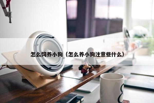 怎么饲养小狗（怎么养小狗注意些什么）