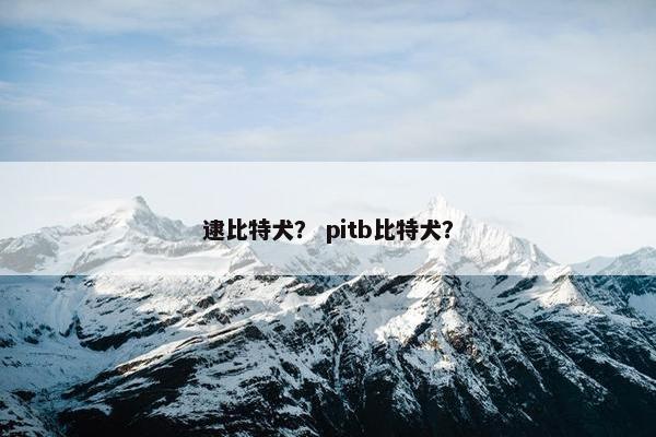 逮比特犬？ pitb比特犬？