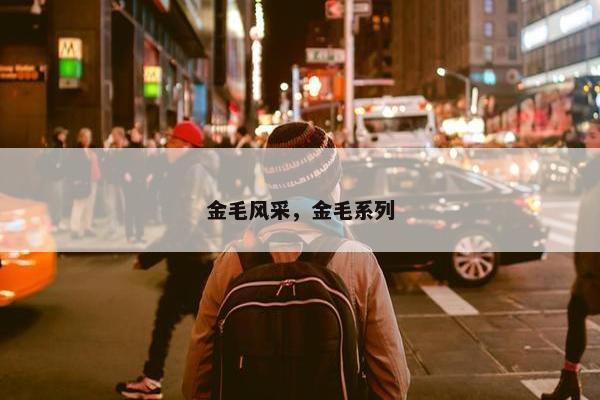 金毛风采，金毛系列