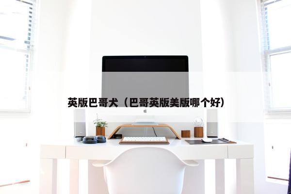 英版巴哥犬（巴哥英版美版哪个好）