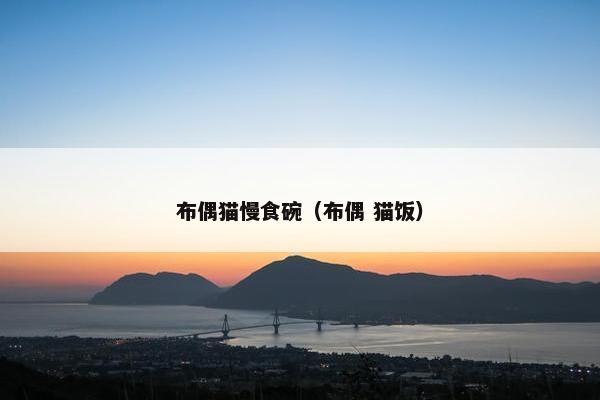 布偶猫慢食碗（布偶 猫饭）