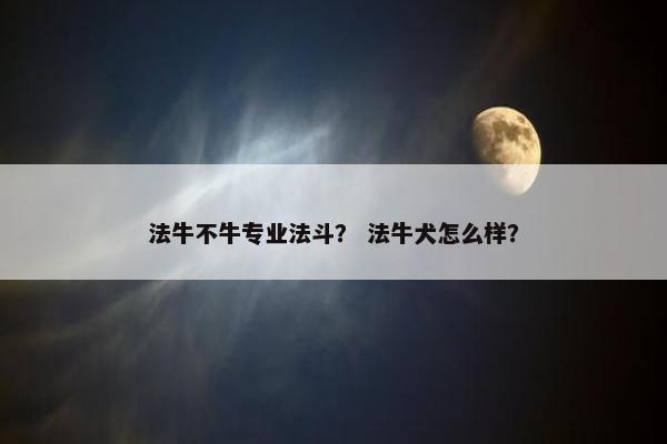 法牛不牛专业法斗？ 法牛犬怎么样？
