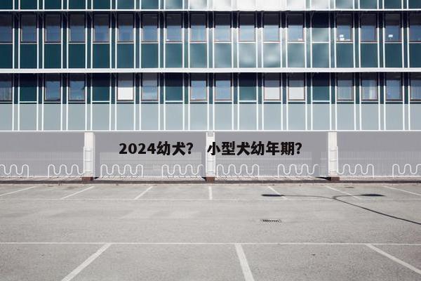 2024幼犬？ 小型犬幼年期？