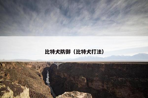 比特犬防御（比特犬打法）