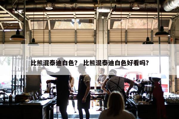 比熊混泰迪白色？ 比熊混泰迪白色好看吗？