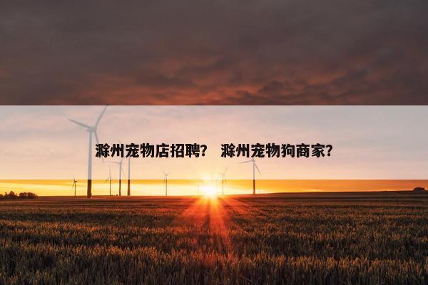 滁州宠物店招聘？ 滁州宠物狗商家？